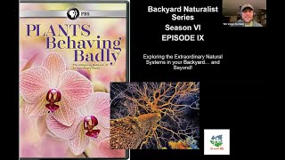 Plants BehavingBadly  Backyard Naturalist Lecture Series [upl. by Ailisab30]