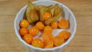 Physalis essen [upl. by Aria]