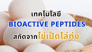 Ep 317 เทคโนโลยี Bioactive peptides สกัดจากไข่เป็ดไล่ทุ่ง [upl. by Suilmann]