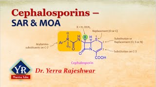 Cephalosporins  SAR amp MOA  SAR of Cephalosporin  MOA of Cephalosporins  YR Pharma Tube [upl. by England]