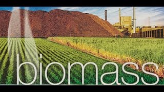 BioMass Energy PPT [upl. by Rafaellle]