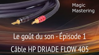 2024 HP DRIADE FLOW 405  Le goût du son 1 [upl. by Romy316]