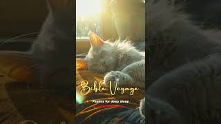 Experience Gods Peace with Psalms audio bible Relax and drift into sleep [upl. by Lutero]