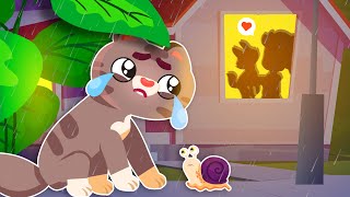 Where Is My Home 🐾  Kittens Search for the Home 🏡  Heartwarming Funny Songs amp Story  Comy Zomy [upl. by Etac170]