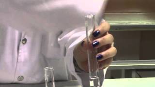 CHEMISTRY Cation Test for Pb2 using NaOH and NH4OH [upl. by Ranna]