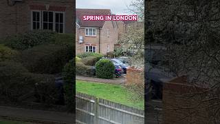 SPRING STARTS IN LONDON PART 1LONDON SPRING SEASON shorts london spring [upl. by Enaile417]