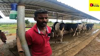 dairy farming ದಿನಕ್ಕೆ 200250 ಲೀಟರ್ ಹಾಲು ಹಾಕ್ತಿನಿ sir  Cow farming in kannada 2023  Hassan [upl. by Seira]