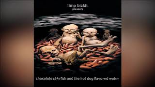 Limp Bizkit  Intro [upl. by Llemar]