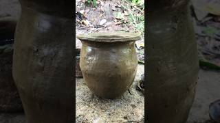 Making a Clay Pot In Forest for cooking pottery cooking potwildlife shortvideo [upl. by Imefulo]