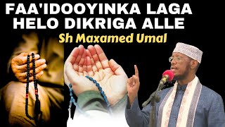 Faaidooyinka Laga Helo Dikriga Alle Sh Maxamed Umal [upl. by Akihsat]