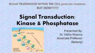 Signal transduction  Kinases and phosphatases [upl. by Ynafit]