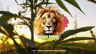 Protoje  Kingston Be Wise Jamie Bostron Remix [upl. by Zea]