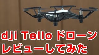 dji Tello ドローンをレビューしてみた！ [upl. by Susejedairam]