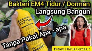 🔴 Omong Kosong ❌ EM4 Harus Diaktifkan Dulu Sebelum Digunakan ❌ EM4 Sebagai Agen Kompos Dan POC ✅ [upl. by Enutrof363]