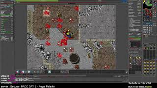 BEST PLACE FOR DEMON SKIELETON BESTIARY AND EXP FOR 30LVL EDRON VAMPIRE LAIR  33 RP  TIBIA SECURA [upl. by Araz]