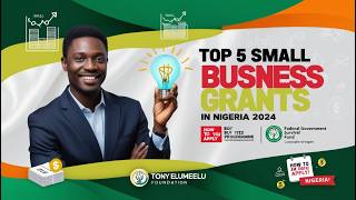 TOP 5 SMALL BUSINESS GRANT IN NIGERIA IN 2024How to Access amp Apply businessgrants smallbusiness [upl. by Danialah]