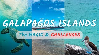 Galapagos Islands A to Z From Hidden Gems to HARSH REALITIES  Your Ultimate Galapagos Travel Guide [upl. by Sivek]