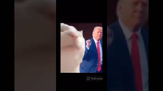 Donald Trump eating the cats remix [upl. by Attelliw]