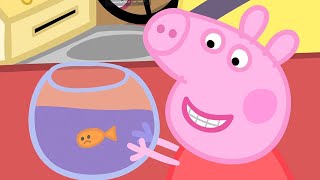 Goldie the Fish and Funfair 🐷🐠 Peppa Pig Full Episodes [upl. by Wiedmann]