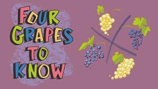 Explaining Wines from Spain 4 Grapes to Know [upl. by Pinter]