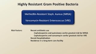 Antibiotics for Gram Positive Infections Antibiotics  Lecture 4 [upl. by Garek]