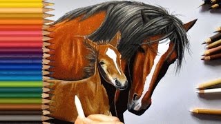 Colored Pencil Drawing Horse with Baby  Jasmina Susak [upl. by Gerdi]