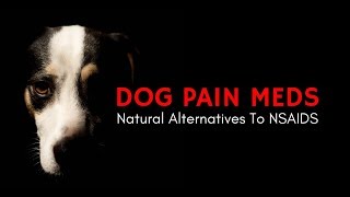 Rimadyl Side Effects in Dogs  Rimadyl Alternatives  CBD Oil for Dogs [upl. by Ehudd]