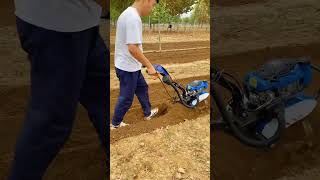 hillside hilly land orchard greenhouse corn field rotary tiller weeding Machine [upl. by Pacian56]