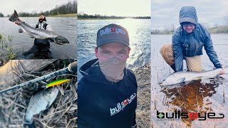 SALMON FISHING IN LATVIA  SALACA RIVER  WITH MY FRIENDS FROM BULLSEYE FISHING [upl. by Enehs]