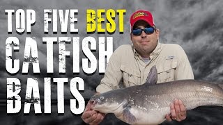 Top 5 Best Catfish Baits Made Simple  Blue Channel Flathead Catfish [upl. by Marcos]