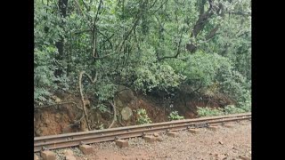 Walk from Dasturi point to Matheran via tracks [upl. by Seldun495]