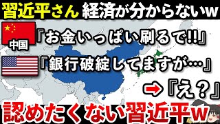 【ゆっくり解説】なぜ中国の銀行は次々に破産していくのか？ [upl. by Kenwrick217]