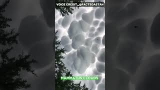 MAMMATUS CLOUDS facts viralshort [upl. by Orips150]