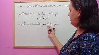 Formação de Palavras Composição Justaposição e Aglutinação  ASSIM EU APRENDO [upl. by Abocaj]