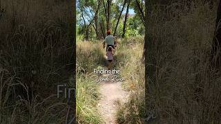 Family Friendly Verde River Trail from Thousand Trails Valley Verde RV Resort in Cottonwood Arizona [upl. by Ydissak319]