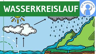 Wasserkreislauf  Begriff Ablauf Prozesse amp Globaler Kreislauf einfach erklärt  Ökologie  Bio [upl. by Anauqahs]