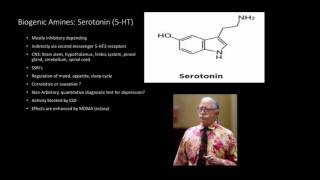 Neurotransmitters Biogenic Amines [upl. by Sivek]