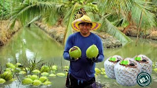 MELIHAT PROSES UNIK PENGEMASAN KELAPA MUDA PANDAN WANGI THAILAND YANG MENDUNIA [upl. by Zizaludba]