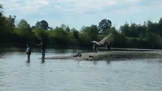 Salmon fishing on the Stilly river Arlington WA [upl. by Aznecniv]