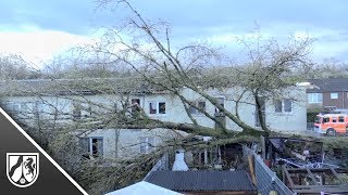 Sturmtief Bennet entwurzelt in Düsseldorf Bäume an Rosenmontag [upl. by Anamuj]