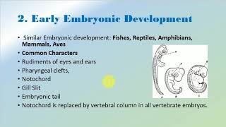 Embryological Evidances of Evolution [upl. by Enomis]