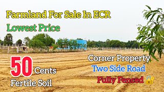 farm land for sale in ecr chennai  agriculture land for sale chennai [upl. by Ehcsrop923]