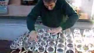 quotOde to Joyquot played on wine glasses [upl. by Idnem483]