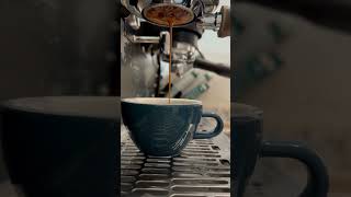 Calibration x Extraction coffee espresso tutorial barista baristalife latteart latte [upl. by Gerdy]