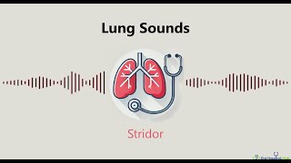 Lung Sounds Stridor [upl. by Yaker]