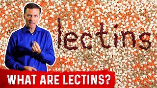 What Are Lectins – Dr Berg [upl. by Massey]