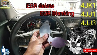 Is it okay to put EGR blanking plate for EURO 4 engine [upl. by Ahsik654]