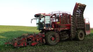 Holmer TerraDos T2 harvest sugar beet [upl. by Prinz480]