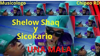 EL SICOKARIO FT SHELOW SHAQ  UNA MALAchipeo [upl. by Zink]