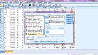 SPSS Correlación de Variables y Preguntas [upl. by Regnij118]